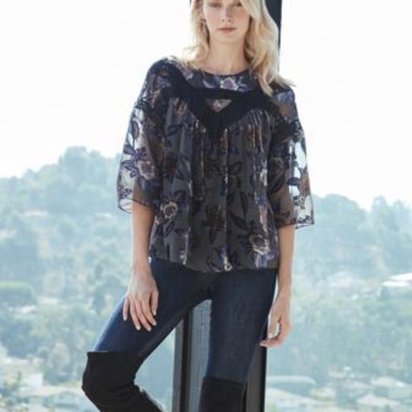 Anthropologie Daniel Rainn Burnout Velvet Blouse - Picture 2 of 8